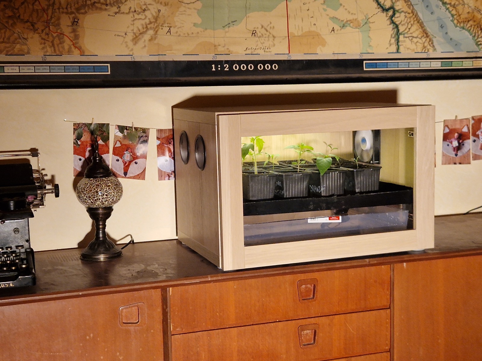 De Groeidoos in een leefruimte